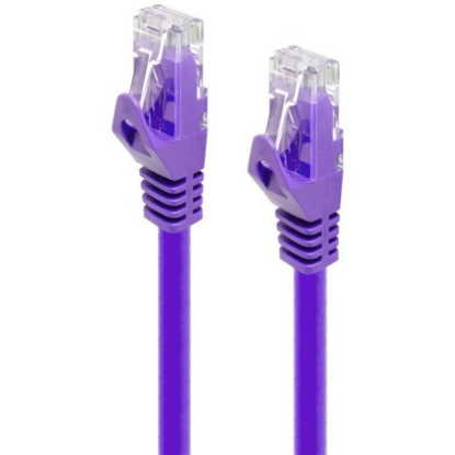 C6-0.5-PURPLE