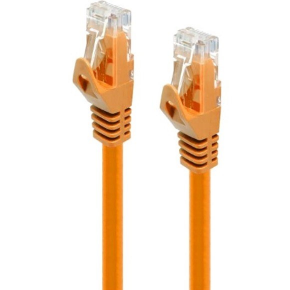 C6-10-ORANGE