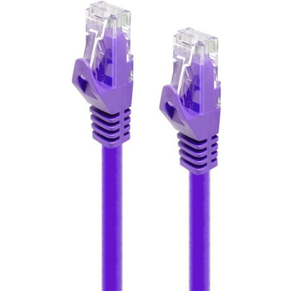 C6-10-PURPLE