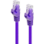 C6-10-PURPLE