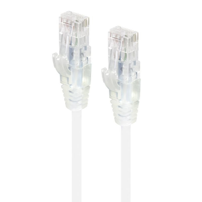 C6S-01WHT