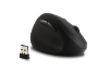 K79810WW