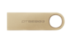 DTSE9G3/256GB