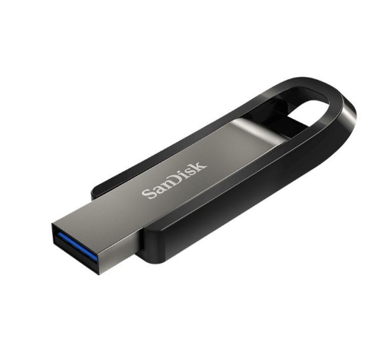 SDCZ810-256G-G46