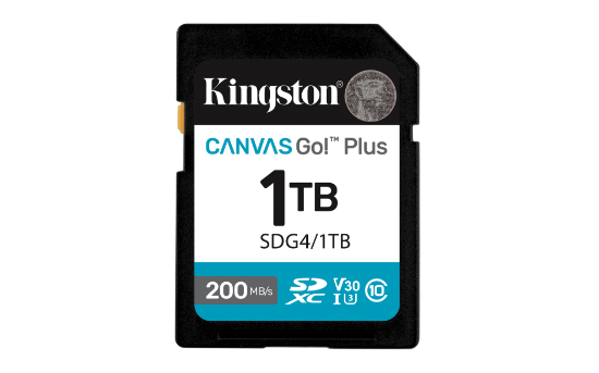 SDG4/1TB