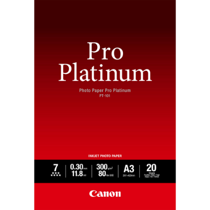 PT101A3