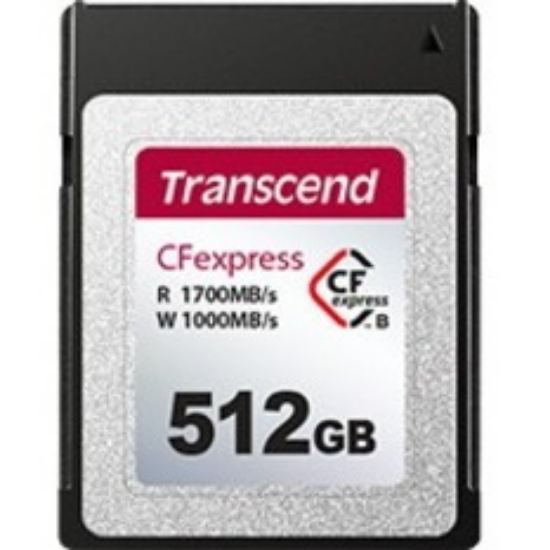 TS512GCFE820