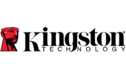 Picture for manufacturer Kingston
