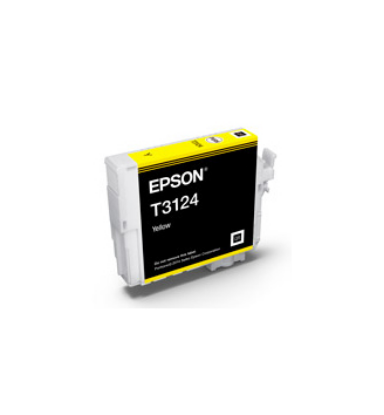 C13T312400