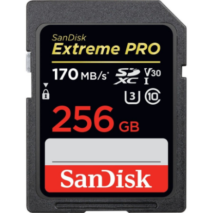 SDSDXXY-256G-GN4IN