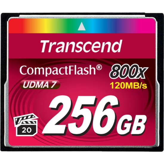 TS256GCF800