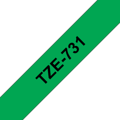 TZe-731