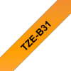 TZe-B31