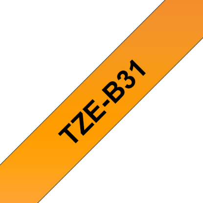 TZe-B31