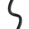 SULCC2G202-SGR