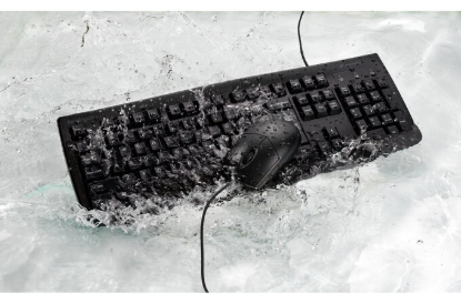K70316US