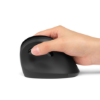 K75501WW