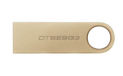 DTSE9G3/128GB