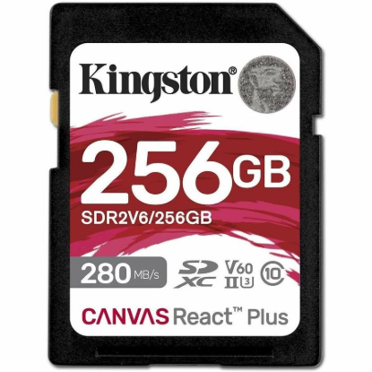 SDR2V6/256GB