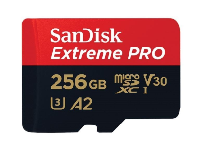 SDSQXCD-256G-GN6MA