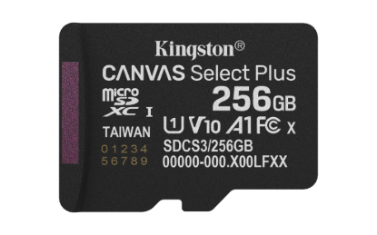 SDCS3/256GB