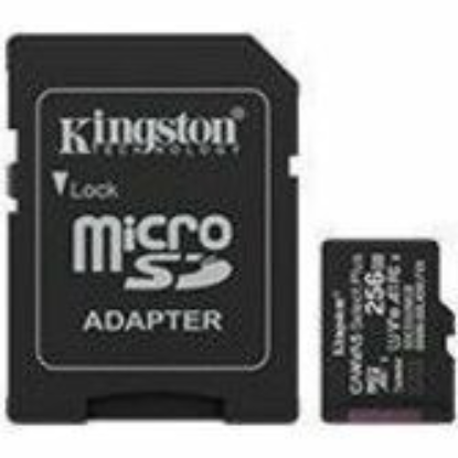 SDCS3/256GB