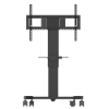 AR-TR-5586-100C