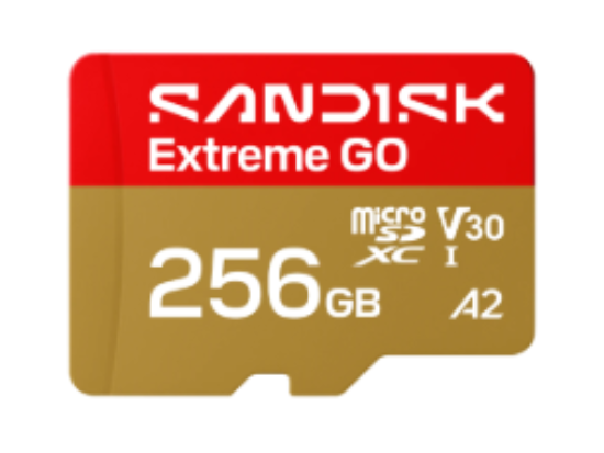 SDSQXGN-256G-GN6MN