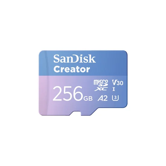 SDSQXAV-256G-GN6MS