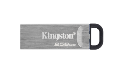 DTKN/256GB