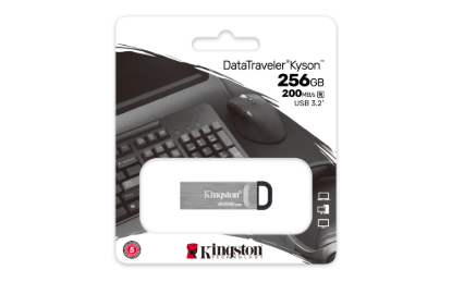 DTKN/256GB