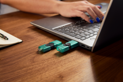 DTDEG2/256GB