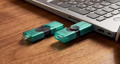 DTDEG2/256GB